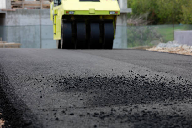 Best Custom Driveway Pavers  in Forest City, PA